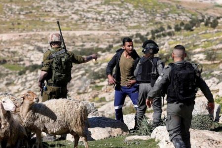 الاحتلال يعتدي على مواطنين ومتضامنين بمسافر يطا جنوب الخليل