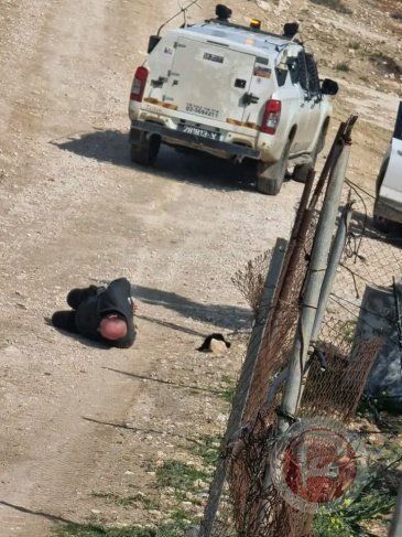 الاحتلال يعتقل 3 مواطنين من خلة الضبع بعد هجوم للمستوطنين عليهم