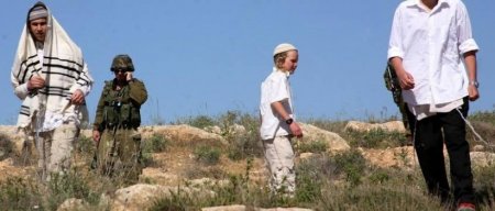 مستوطنون يعتدون بالضرب على مواطن ويسرقون منه 10 رؤوس من الأغنام