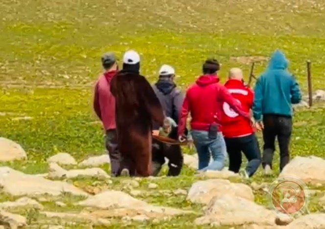 مستعمرون يعتدون على طفلين جنوب الخليل