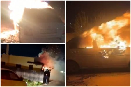 مستعمرون يحرقون مركبتين ويسرقون 25 رأس غنم في شيوخ العروب شمال الخليل