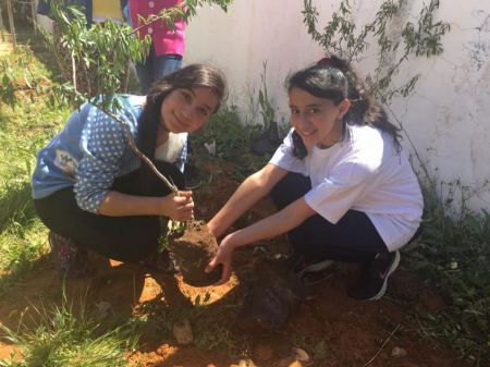 "التعليم البيئي" يختتم أسبوع الطيور السابع ويوم البيئة في عدة محافظات