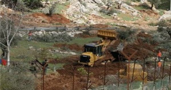 جرافات الاحتلال تقتلع عشرات اشجار الزيتون في سلفيت