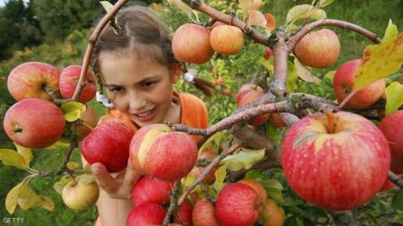 حقائق جديدة وصادمة عن 'الحميات الغذائية'