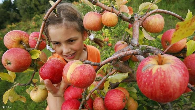 حقائق جديدة وصادمة عن 'الحميات الغذائية'