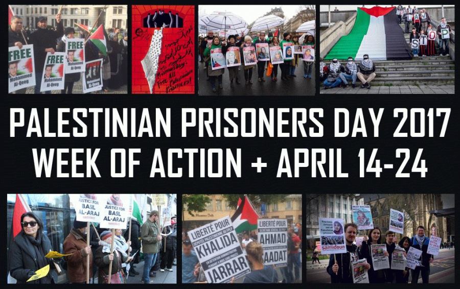 الولايات المتحدة : حملة تضامن كبرى مع أسرى الحرية في سجون الإحتلال