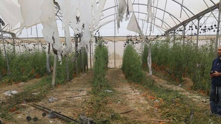 'داعش' يتبنى إطلاق صاروخ على إسرائيل
