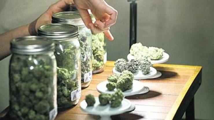 في هذه الدولة.. الحشيش يباع بالصيدليات