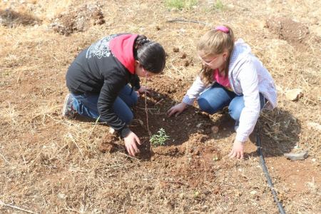  التعليم البيئي" و"الطفل الثقافي" يغرسان سما نابلس" 