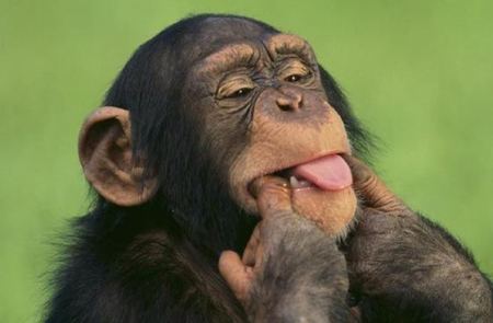  طرائف/بمناسبة يوم الكذب العالمي (الاول من ابريل) هل تعرف ان الحيوانات تكذب ايضا؟