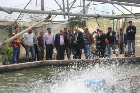  محافظ جنين يتفقد مزرعتي تربية السمك وزراعة التوت الأرضي المعلق في قباطية
