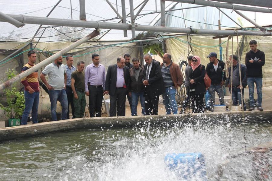  محافظ جنين يتفقد مزرعتي تربية السمك وزراعة التوت الأرضي المعلق في قباطية