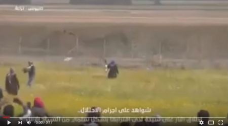 مشهد وحشي جديد: قنص جنود الاحتلال لسيدة تحمل علم فلسطين