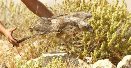  في الطبيعة الفلسطينية: جمعية " طبيعة فلسطين " تُعلن إنطلاق أنشطتها بحدث تاريخي