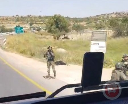 جيش الاحتلال يعدم فتاة شمال الخليل