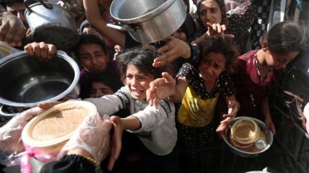 "الفاو" تعتمد قرارا يخص الأوضاع في قطاع غزة و"الخارجية" ترحب