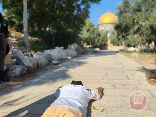 مستعمرون يقتحمون المسجد الأقصى