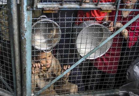 "الأغذية العالمي" يحذر : خطر متزايد يهدد مئات الآلاف من اهالي القطاع