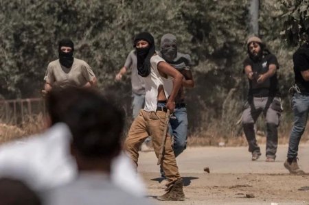 مستعمرون يهاجمون تجمع "حلق الرمان" غرب أريحا ويروعون الأهالي