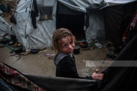 "أوتشا" يحذر من تزايد مخاطر انتشار الأمراض في مخيمات النزوح بقطاع غزة