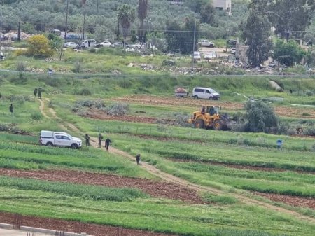 لليوم الثاني: الاحتلال يقتلع عشرات الأشجار المثمرة في اللبن الشرقية جنوب نابلس