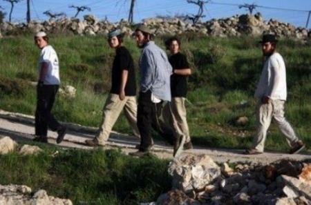  مستوطنون يهاجمون منازلا ويحطمون زجاج سيارات ويعتدون على شابين في الخليل وجنين