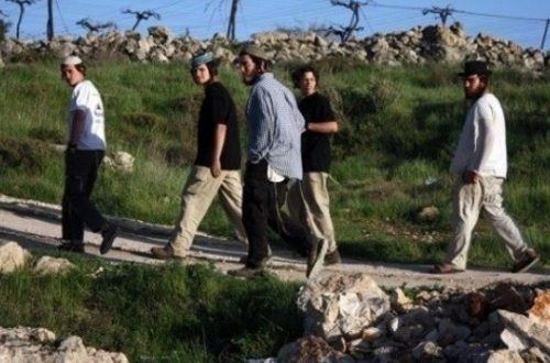مستوطنون يهاجمون منازلا ويحطمون زجاج سيارات ويعتدون على شابين في الخليل وجنين