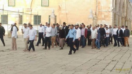 مستوطنون ينفذون اقتحامات واسعة للمسجد الأقصى