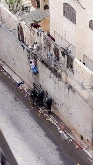 صورة الاسبوع.. الطريق الى الأقصى