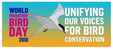  "التعليم البيئي" يصدر نشرة تعريفية باليوم العالمي للطيور المُهاجرة