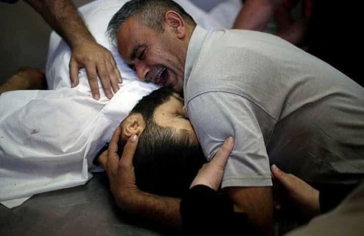 الشهيد.. ما بضل عالأرض