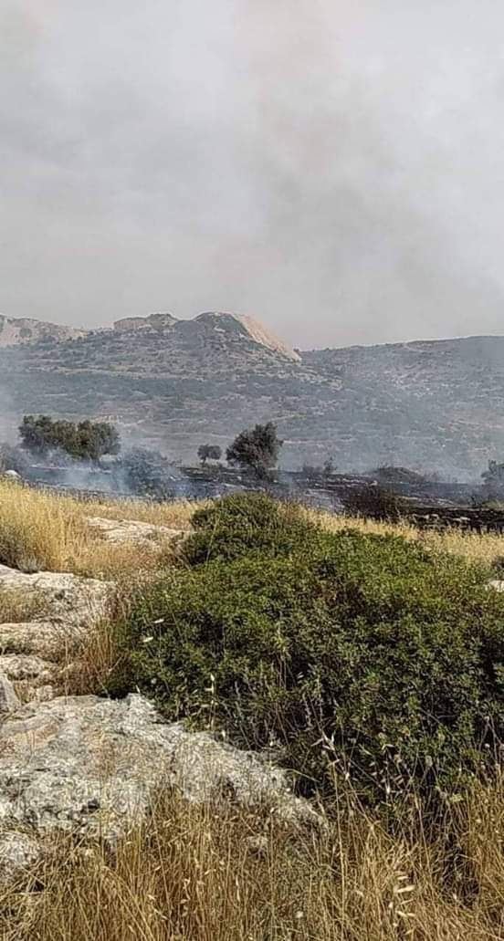 نتج عنه حالة إختناق لشاب …حريق اشجار واعشاب في قرية رمانة غرب جنين