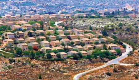 بن غفير يحول المستوطنات الى غابة بنادق والمستوطنون يصعدون من جرائمهم واعتداءاتهم