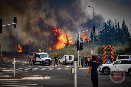  الحرائق لا تزال مشتعلة وتوقعات باشتداد الرياح.. آلاف الدونمات احترقت وخسائر بالملايين