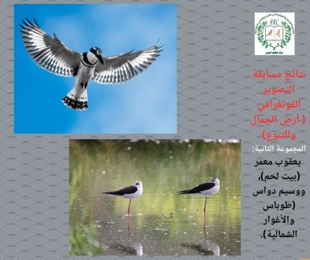 "التعليم البيئي" يعلن الفائزين في مسابقة أرض الجمال والتنوّع