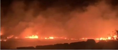 مستعمرون يحرقون أراضي زراعية في قرية المغير