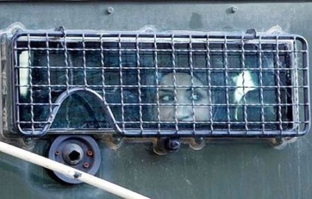 الأسيرات يبدأن خطوات احتجاجية