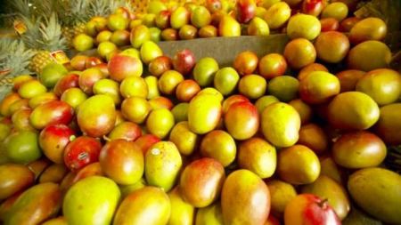 هذه الفاكهة تمنع الإصابة بالسرطان والعمى