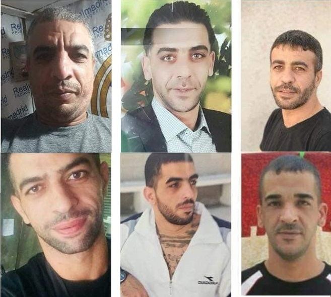 أم ناصر أبو حميد: سنديانة فلسطين