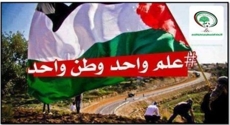 زيتون الجبل الأصيل يتعانق مع برتقال الساحل الجميل