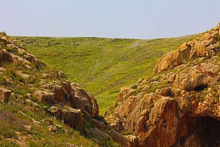 "التعليم البيئي" يُصدر ورقة حقائق حول الواقع البيئي للأغوار