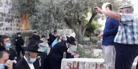  104 مستوطنين يقتحمون باحات المسجد الأقصى