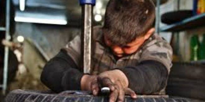  اتحاد نقابات عمال فلسطين يحذر من تعاظم مخاطر تشغيل الأطفال في فلسطين