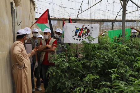 العمل الزراعي وحركة طريق الفلاحين الفلسطينية ينفذان زيارة تضامنية لمزارعي الدفيئات الزراعية برفح