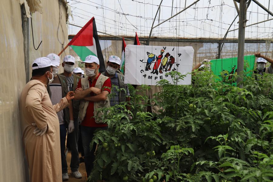العمل الزراعي وحركة طريق الفلاحين الفلسطينية ينفذان زيارة تضامنية لمزارعي الدفيئات الزراعية برفح