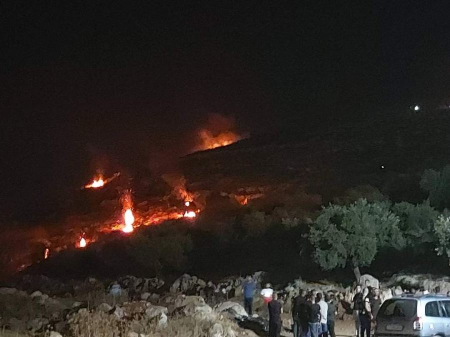 على غرار بيتا: بيت دجن تتبنى أسلوب 