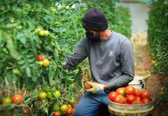  التعاون تختتم حملة 