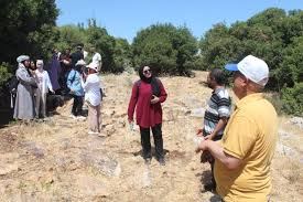 جنين: 