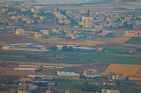 "التعليم البيئي" يدعو لحماية الأرض الزراعية من الزحف العمراني