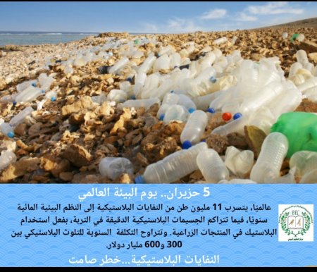 "التعليم البيئي" يصدر بيانًا ليوم البيئة العالمي